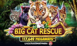 Big Cat Rescue Megaways 777tiger